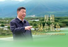Xi Focus: Charting a green path to development
