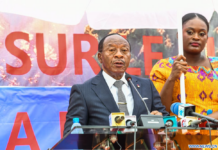 Cameroun : inauguration d’un pont construit par une entreprise chinoise dans le Centre du pays
