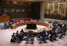 Le Conseil de sécurité de l’ONU procède à un vote indicatif sur les candidats au poste de secrétaire général
