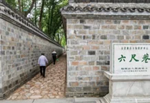 Xi Story: Six-foot alley reveals Chinese wisdom of making room for others