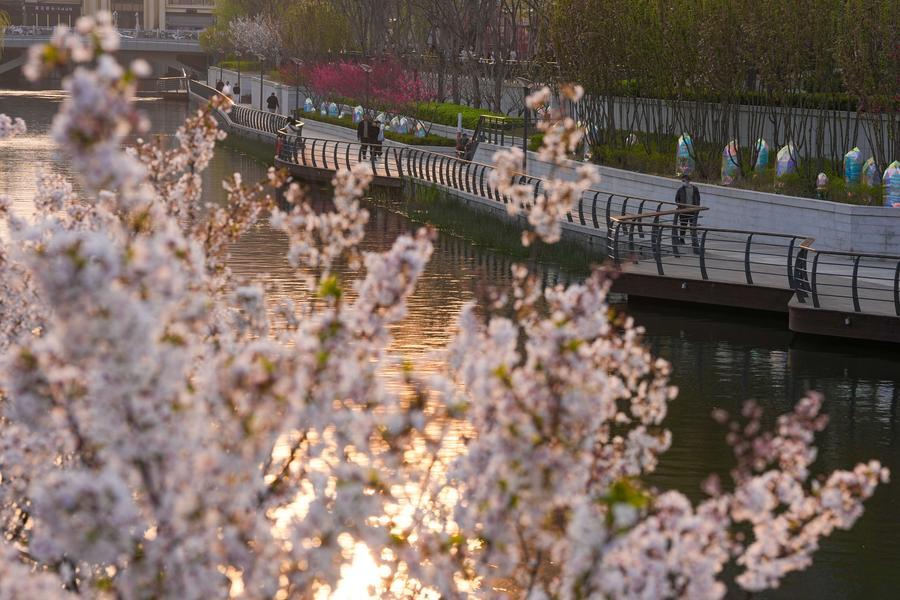 Xinhua Headlines: Paddling, camping, birdwatching: How a greener China reshapes urban getaways, lifestyles