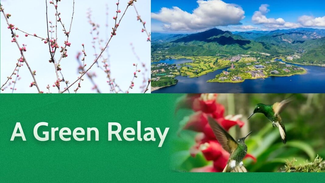 A Green Relay