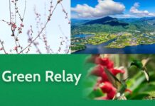 A Green Relay