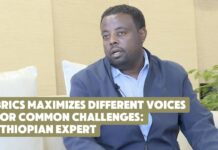 BRICS maximizes different voices for common challenges: Ethiopian expert