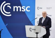 Frank-Walter Steinmeier, président allemand