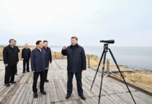 Xi Focus: Xi stresses prioritizing ecological conservation, pursuing green development